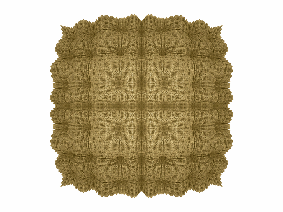 Floralis - Two Box - Brown