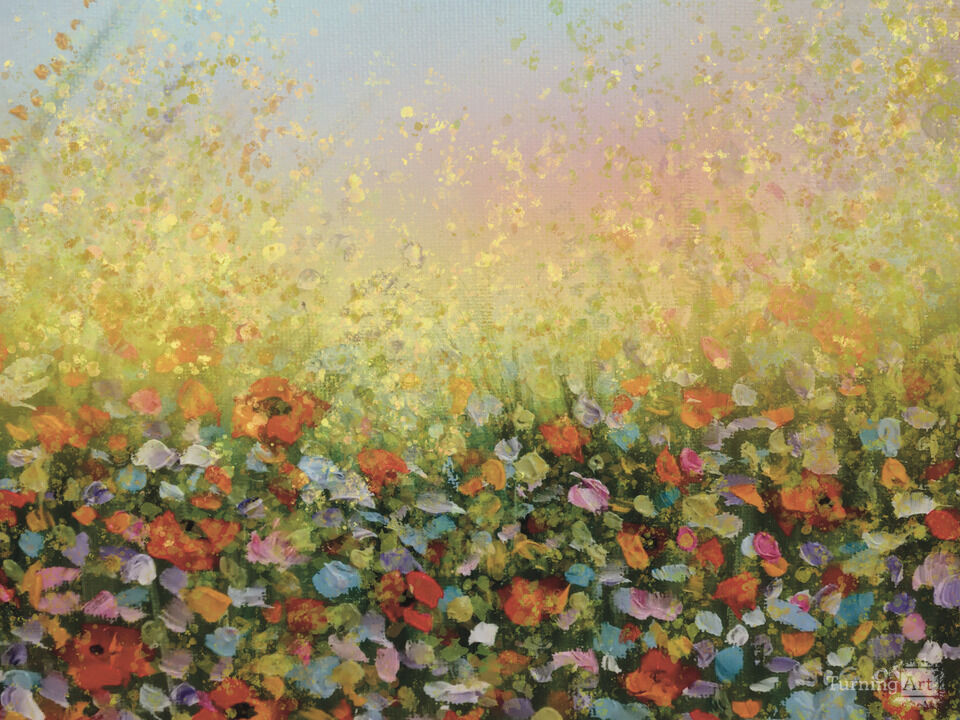 Poppies 
