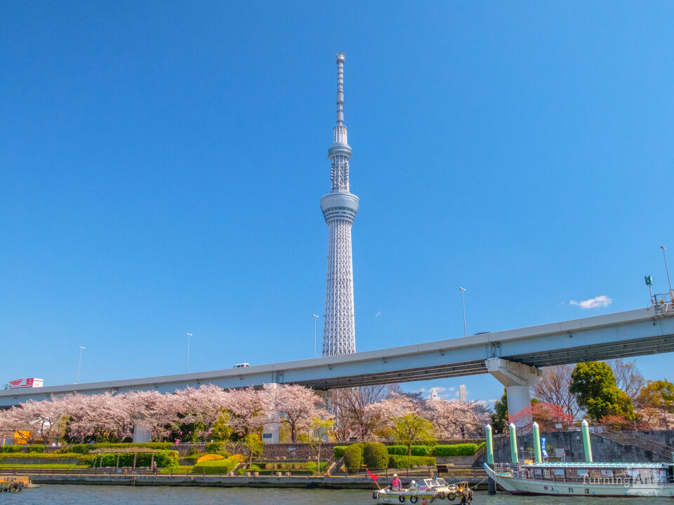 Tokyo Skytree