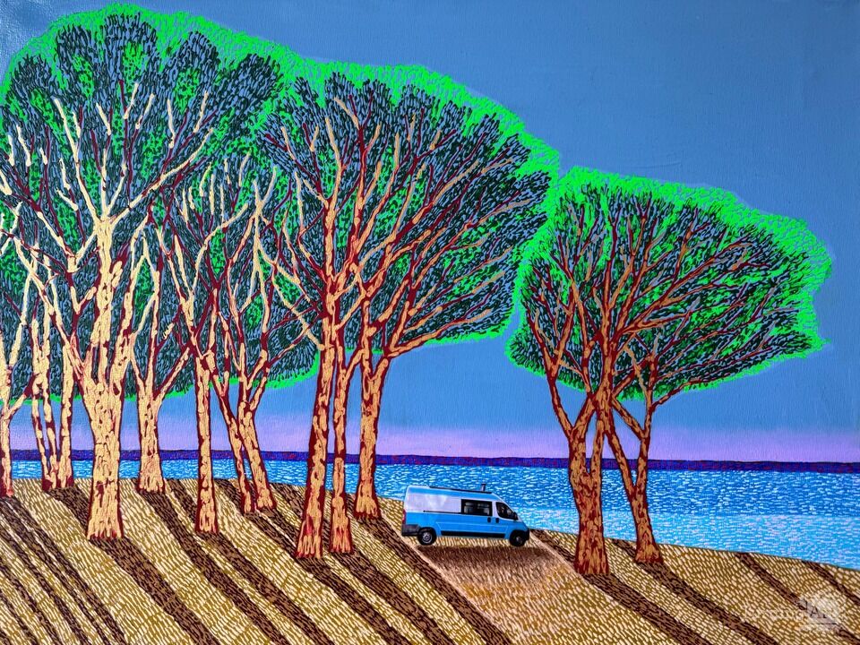 Shed Attachments n.8