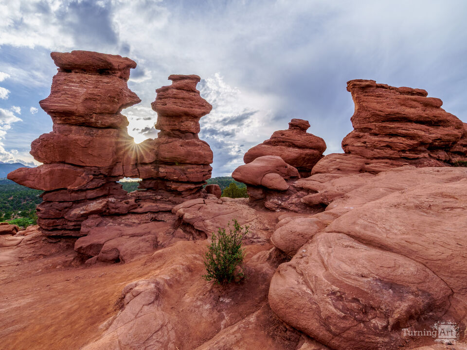 Garden Of Gods Siamese Twins Sun Star