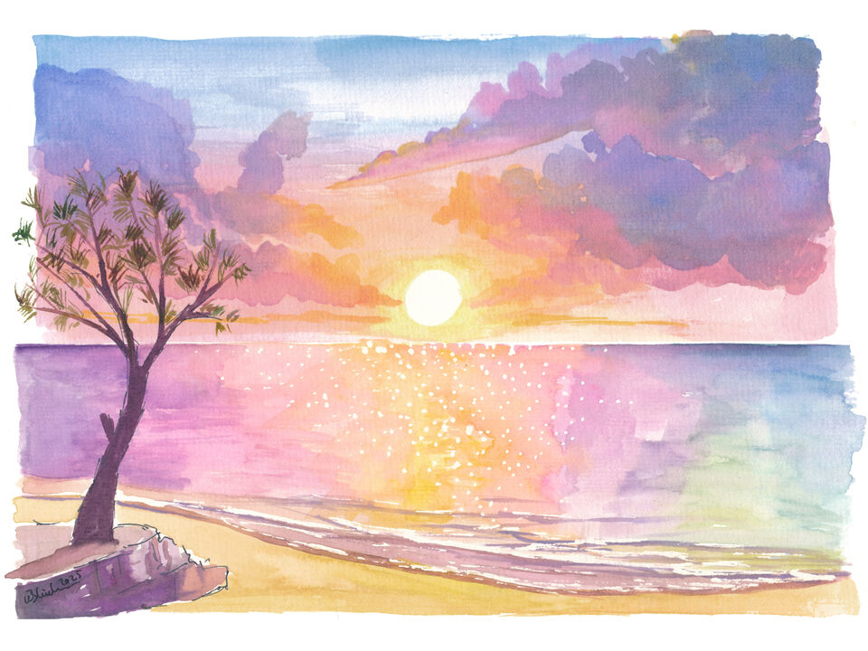 Eleuthera Bahamas Beach Tree Silhouettes and Sunset Final Glow