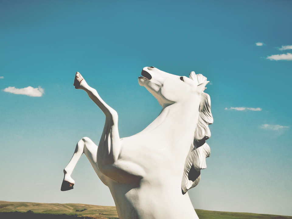 Guardian of the Plains