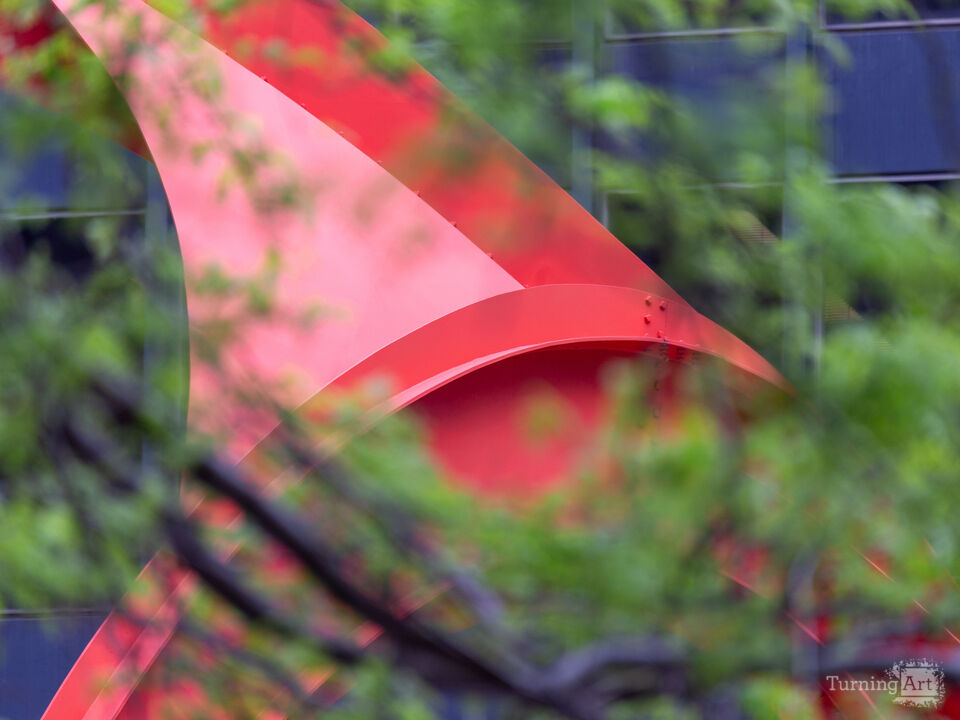 Flamingo Through the Tree