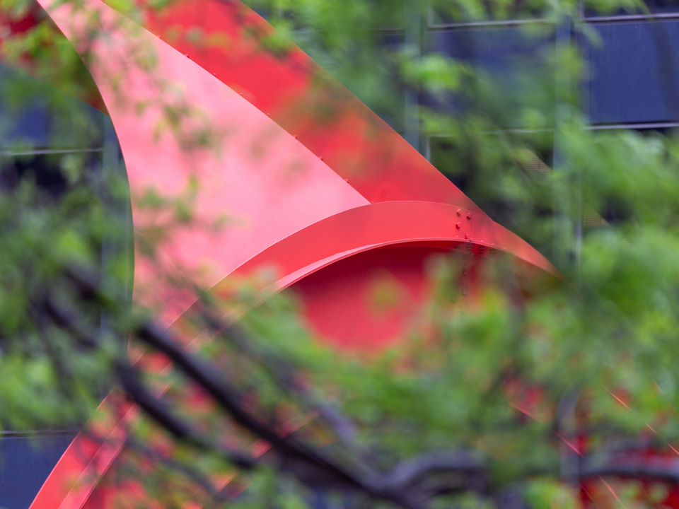 Flamingo Through the Tree