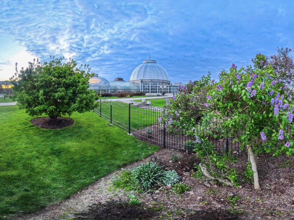  Detroit Belle Isle Conservatory 