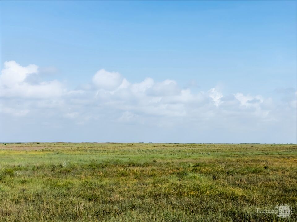Texas Coastal Plain #0089