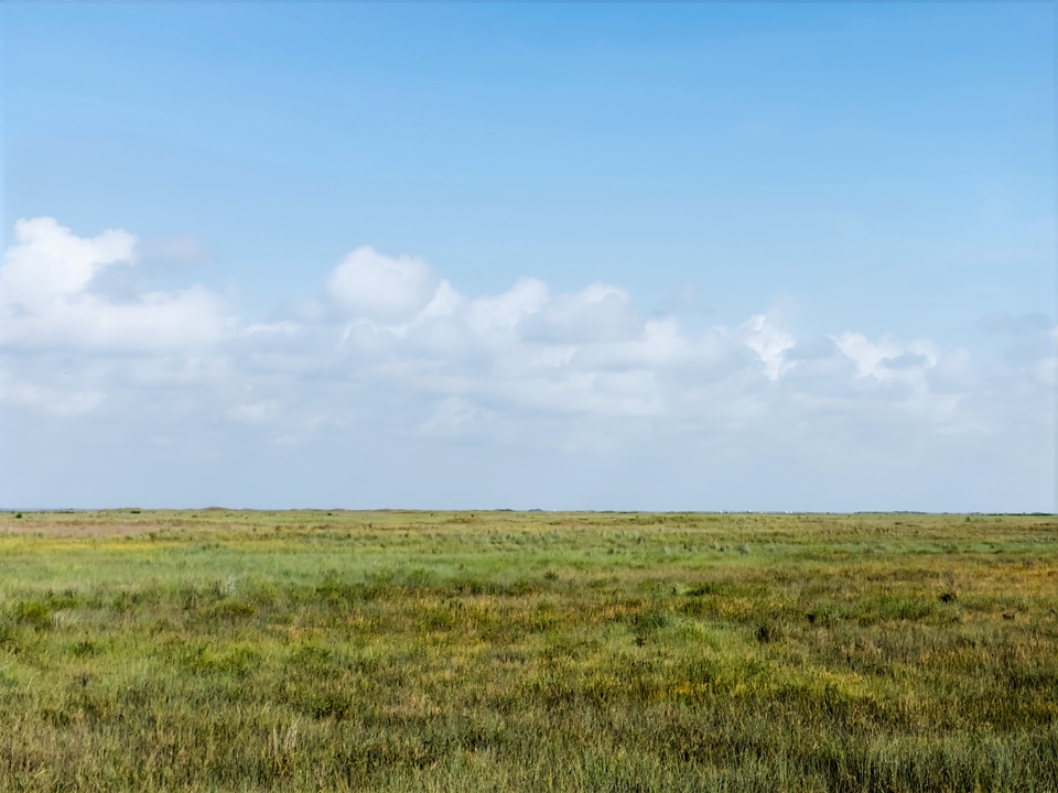 Texas Coastal Plain #0089