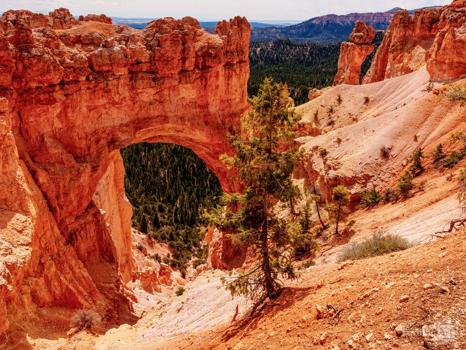 Bryce Canyon Natural Bridge