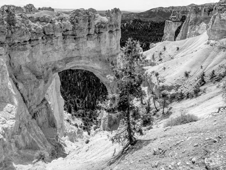 Bryce Canyon Natural Bridge Grayscale