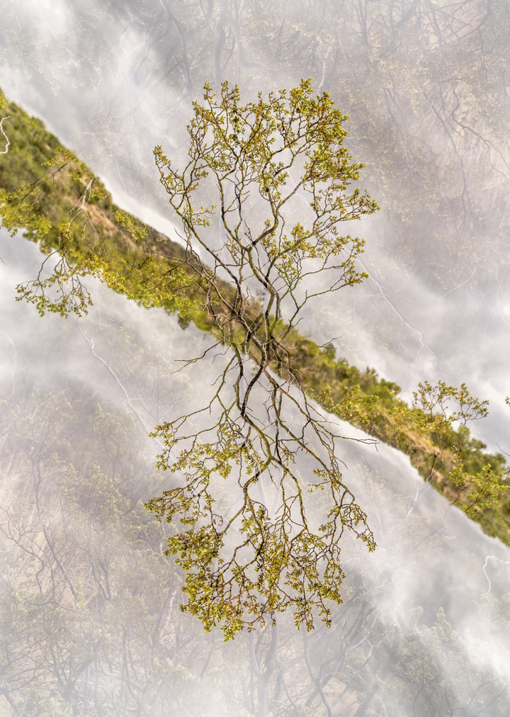 La Luz, New Mexico #8