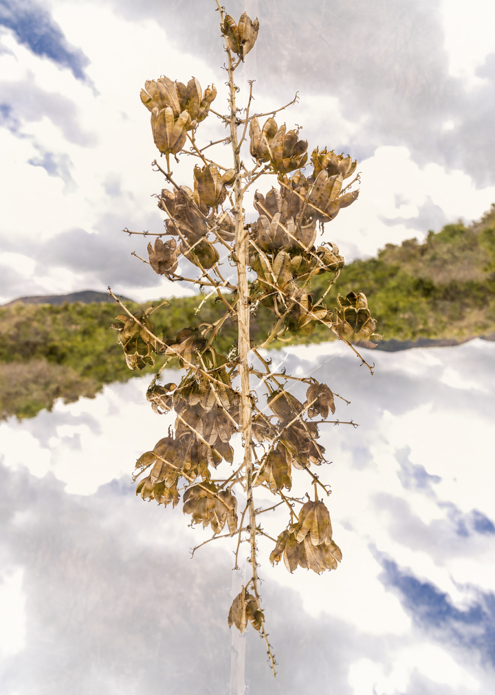 La Luz, New Mexico #10