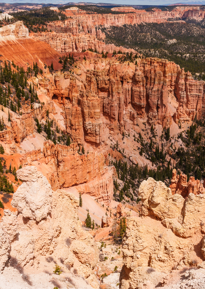 Hoodoos At Rainbow Point Bryce Canyon Vertical