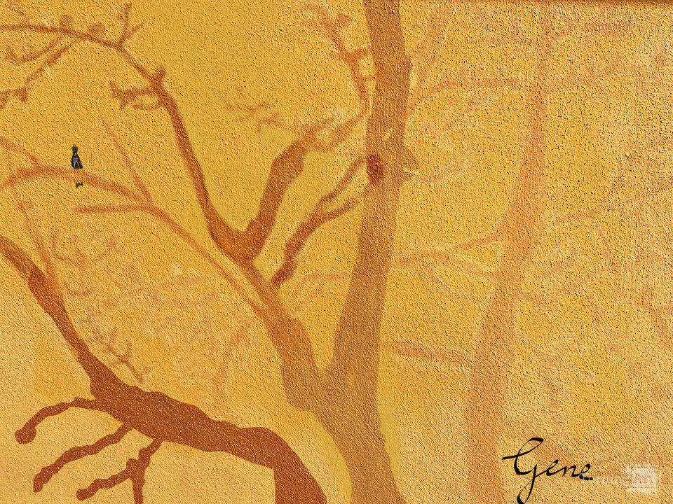 Shadow Trees III
