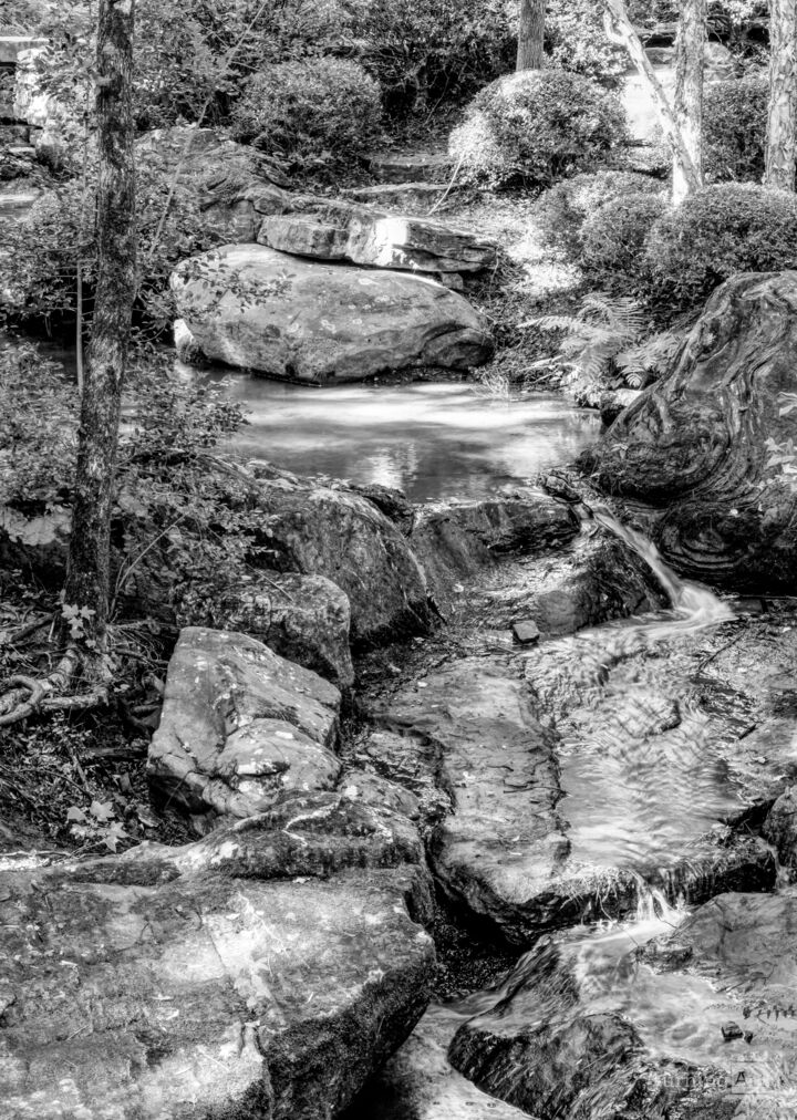 Ozarks Rock Garden Waterfall Grayscale