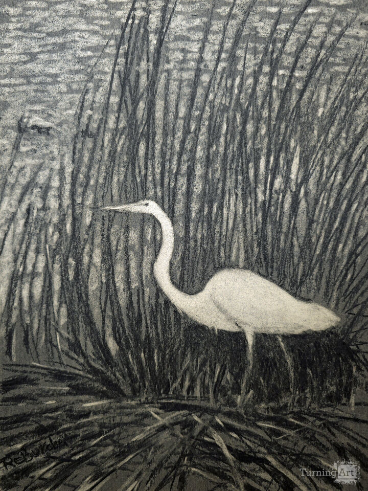 Pawleys Island Egret