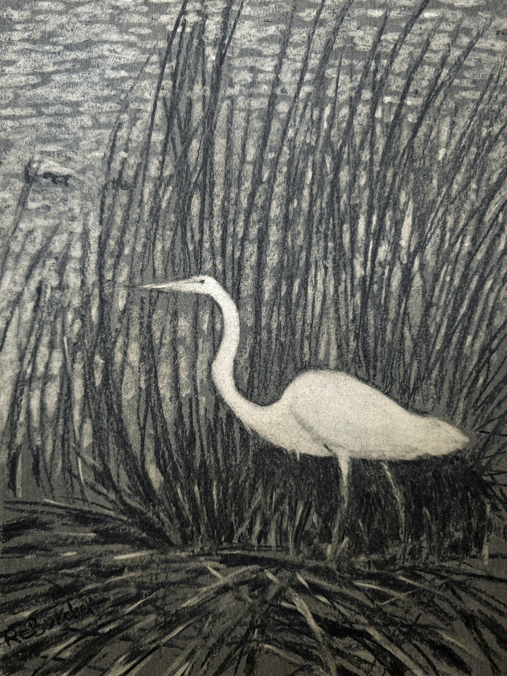 Pawleys Island Egret