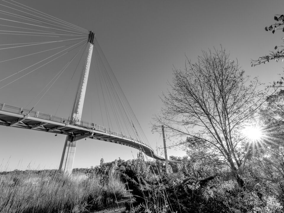 Looking Up Bob Kerrey Bridge Grayscale