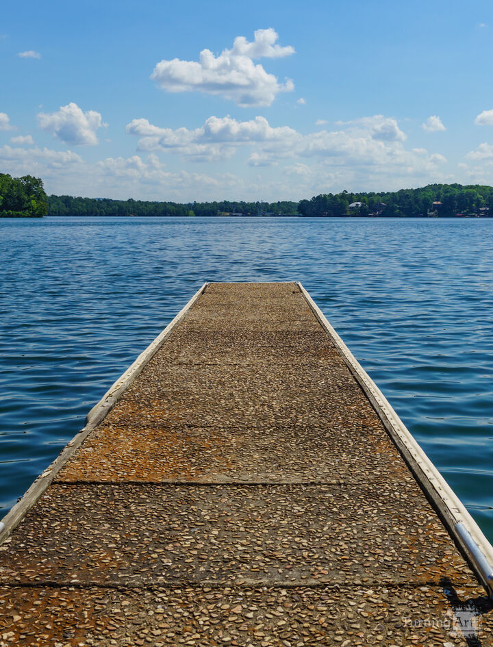 Ouachita River Boat Dock Vertical