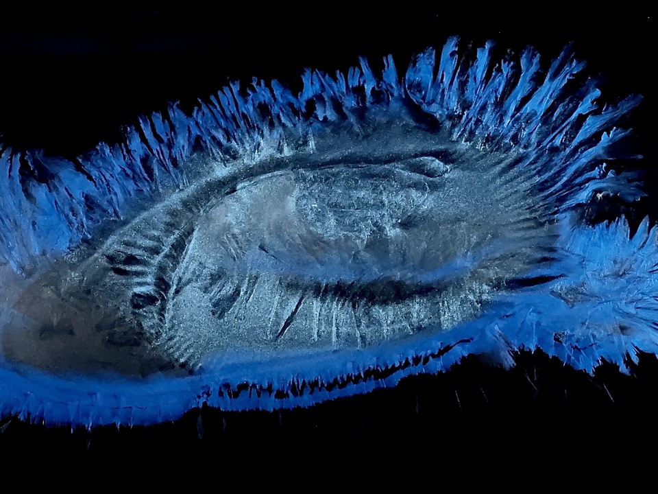 BLUE EXSTACY # 2