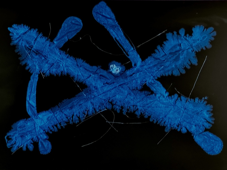 BLUE EXSTACY #3
