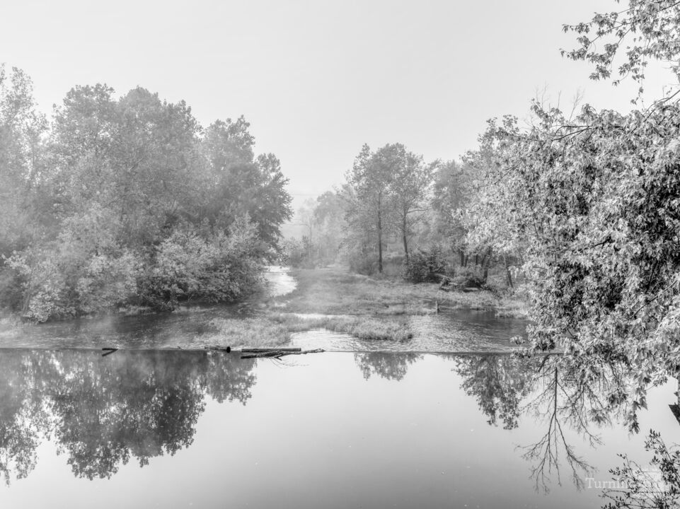 Fall Reflections At Finley River Dam Grayscale