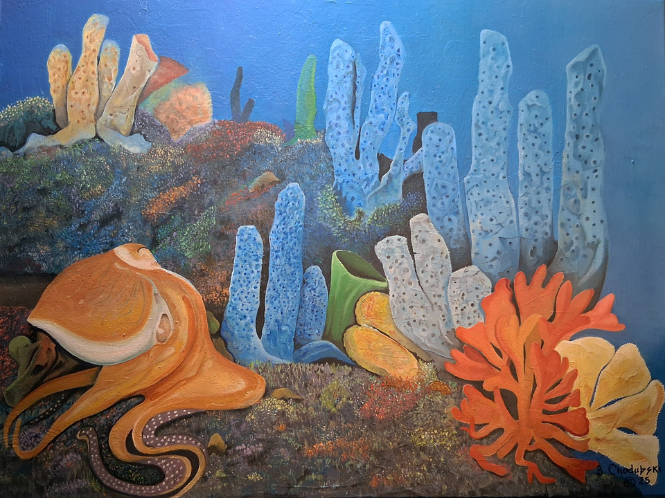 An Octopus's Garden in the Shade