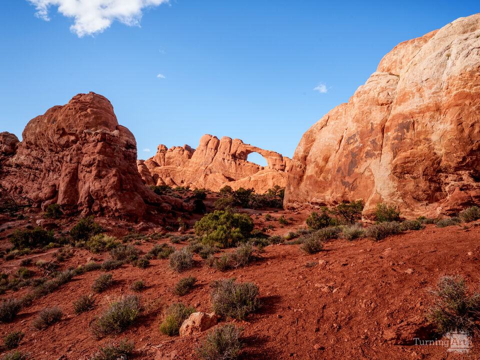 Skyline Arch In Sunlight