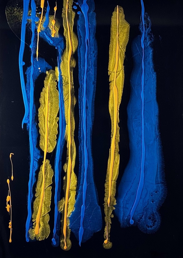 BLUE PILLARS #1