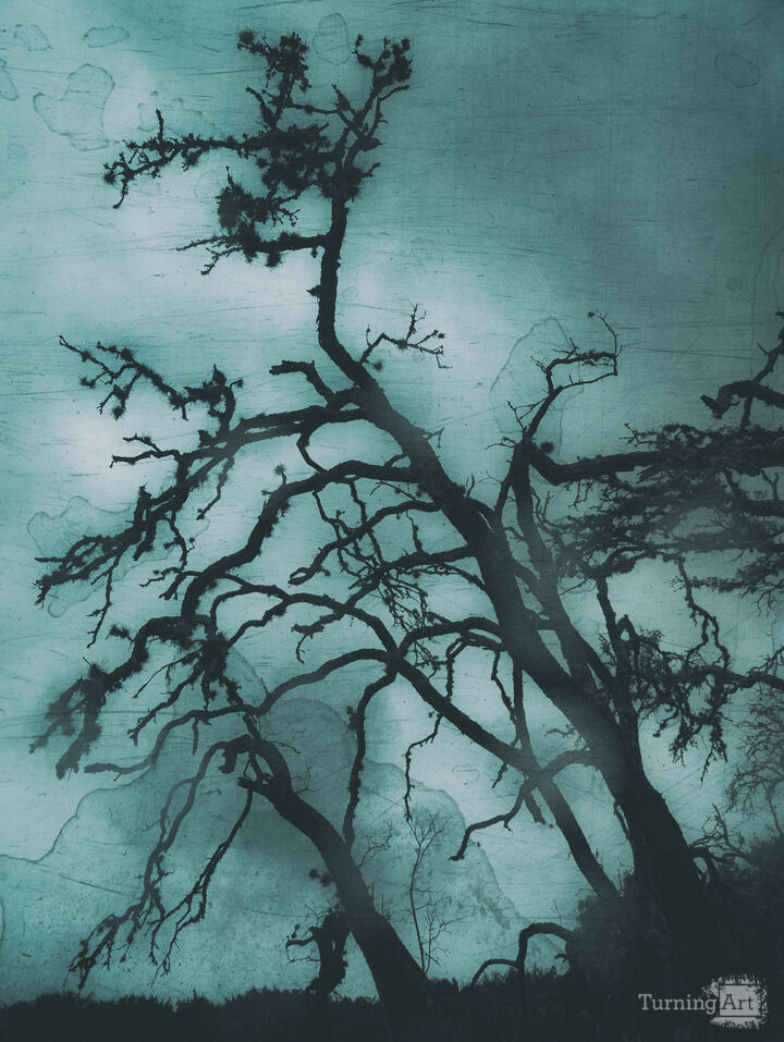 Rain Falls Cold on a Dark Night