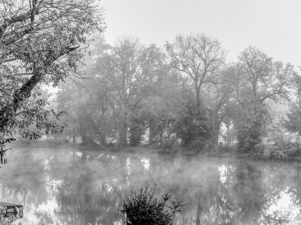 Finley River Foggy Autumn Riverbank Grayscale