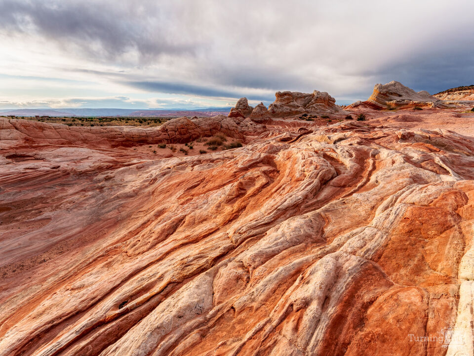 Textures Of White Pocket Arizona