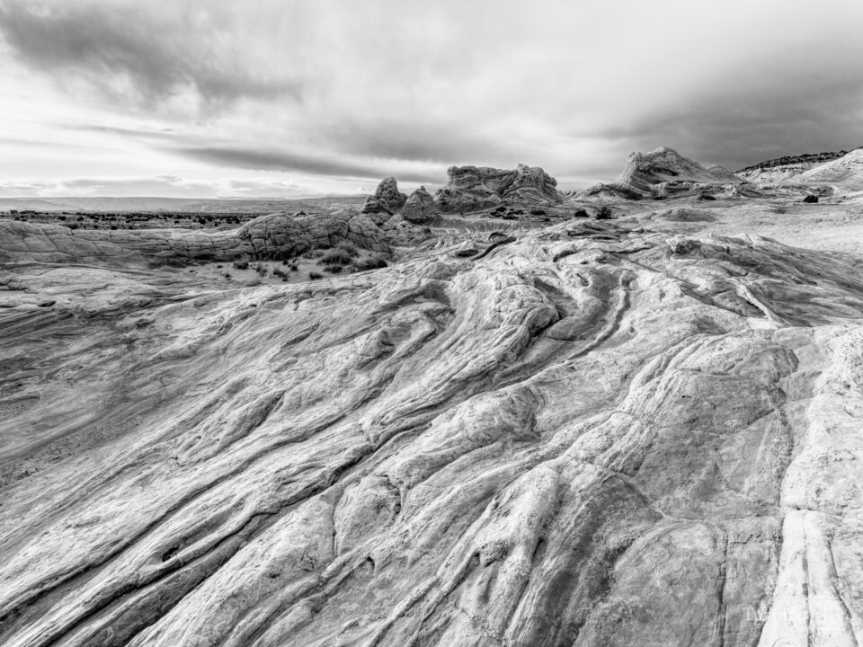 Textures Of White Pocket Arizona Grayscale