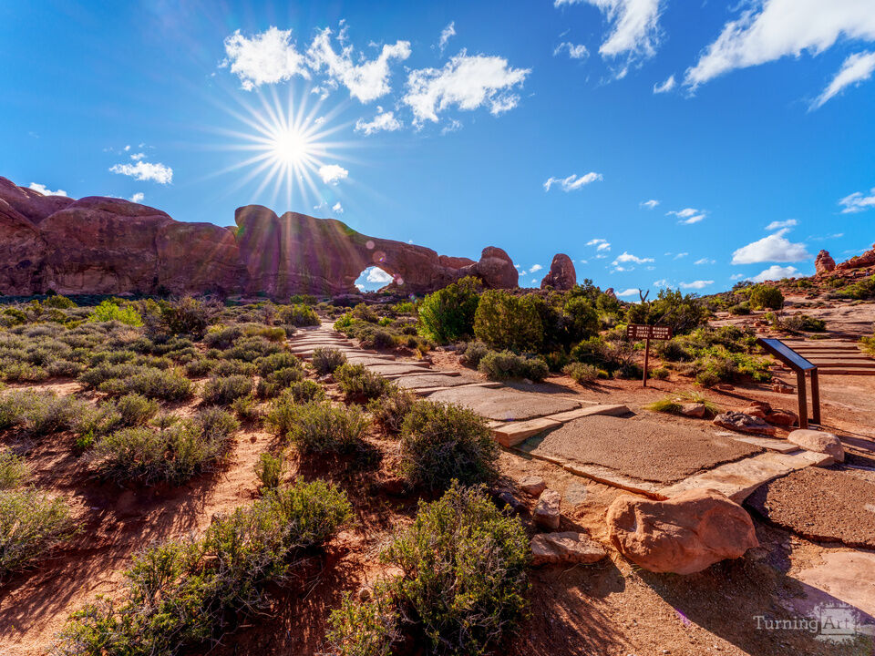 Arches Pathway To The Windows
