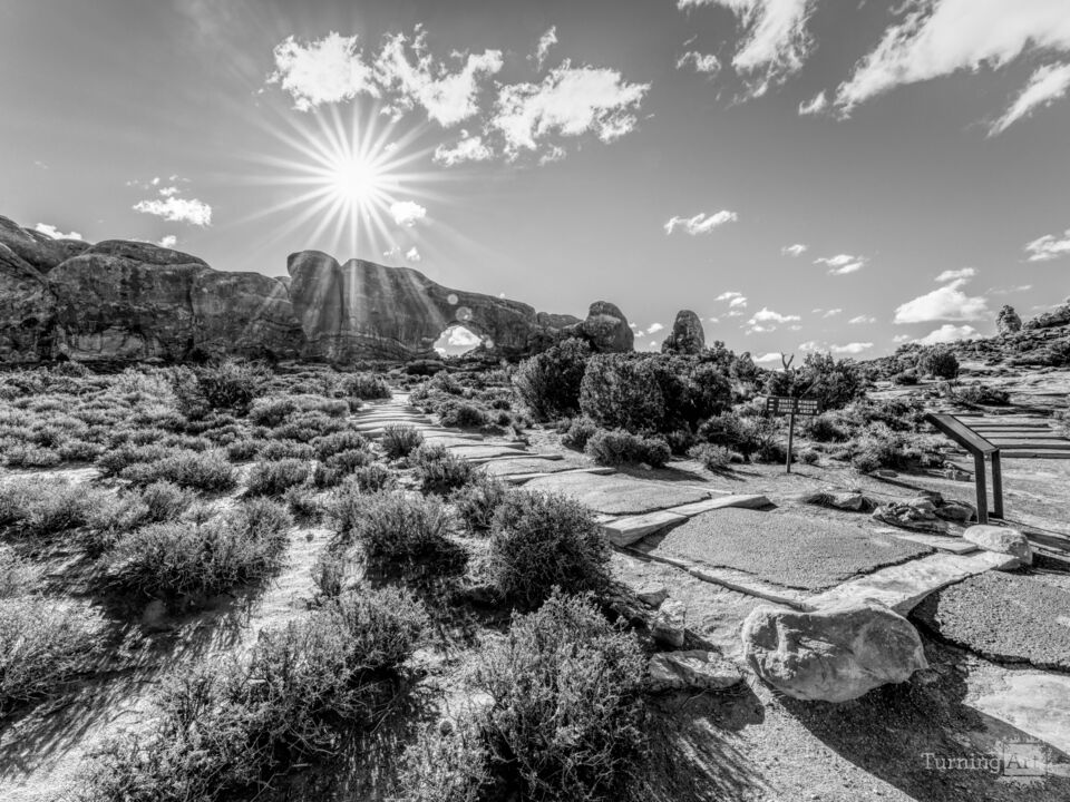 Arches Pathway To The Windows Grayscale