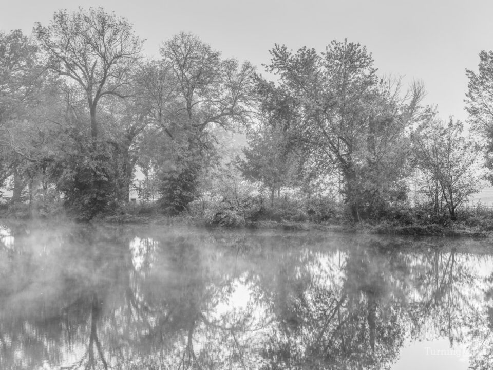 Hazy Fall Morning On The Finley Grayscale