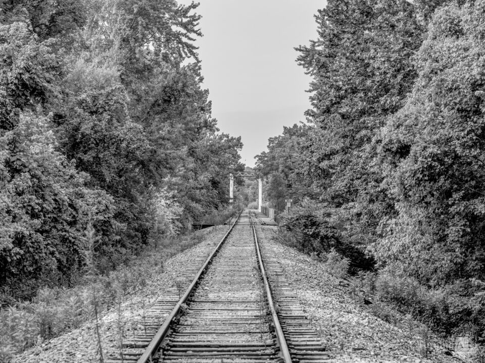 Ozarks Abandoned Railroad Tracks Grayscale