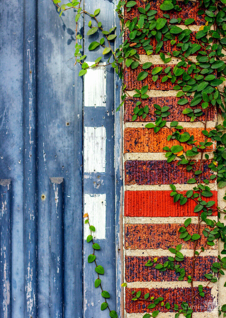 Welch Street Montrose