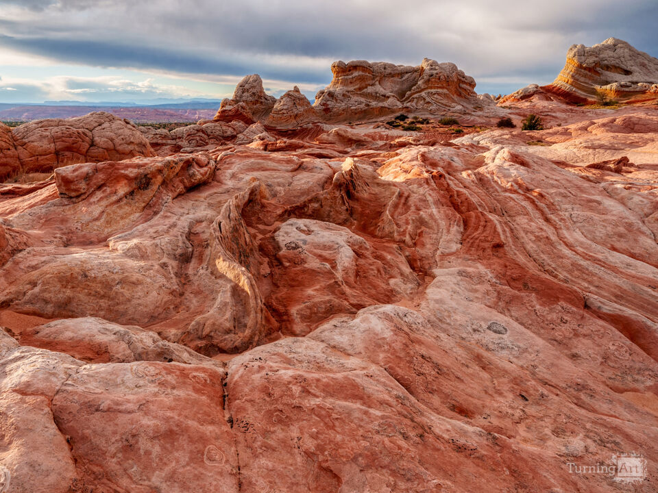 Swirls And Mounds Of White Pocket