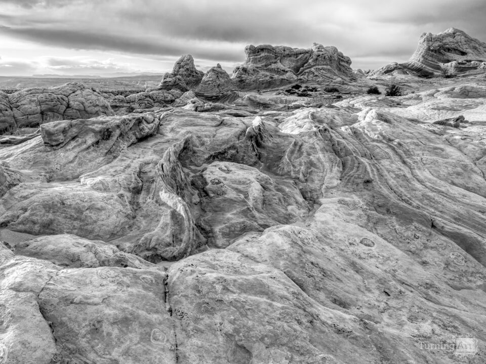 Swirls And Mounds Of White Pocket Grayscale
