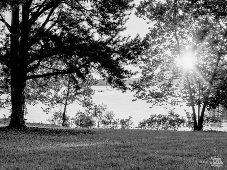 Table Rock Lake Morning Sunburst Fishing Grayscale