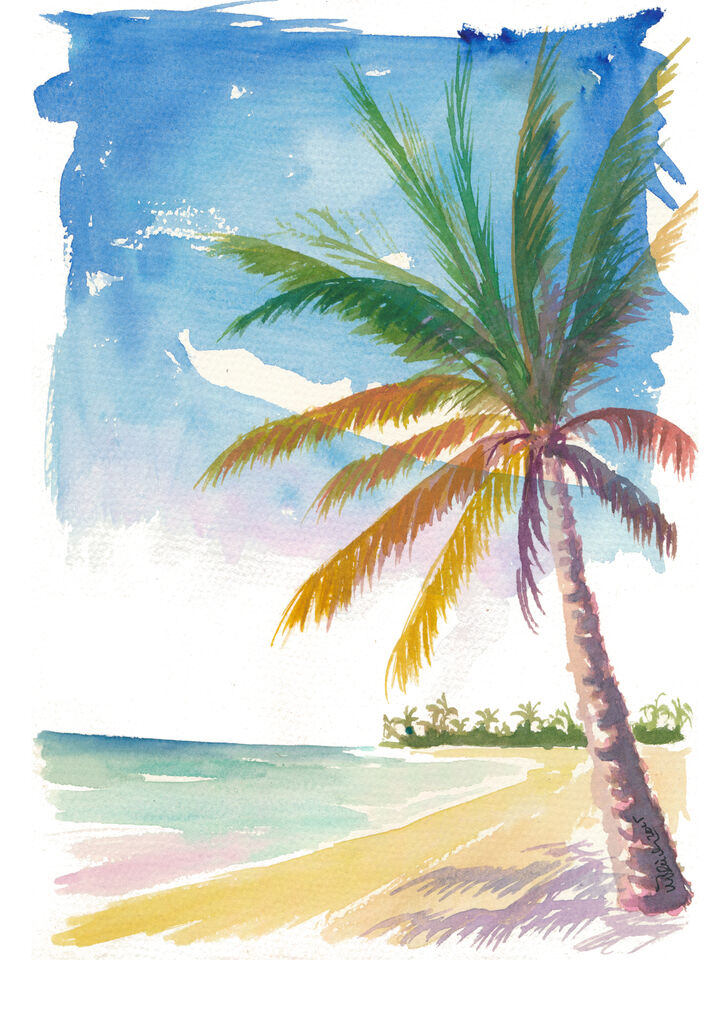 Provo Bahamas Beach with Swaying Palm Trees