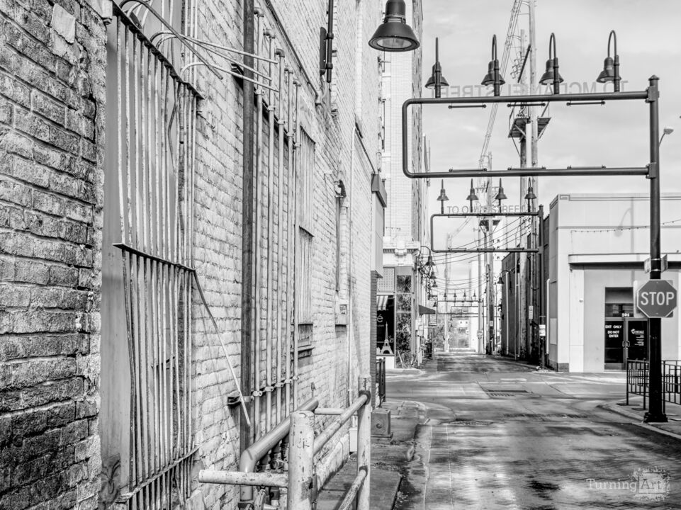 Old Window Bars Grayscale