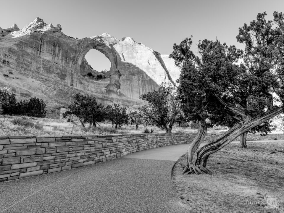 Path To Window Rock Arizona Grayscale