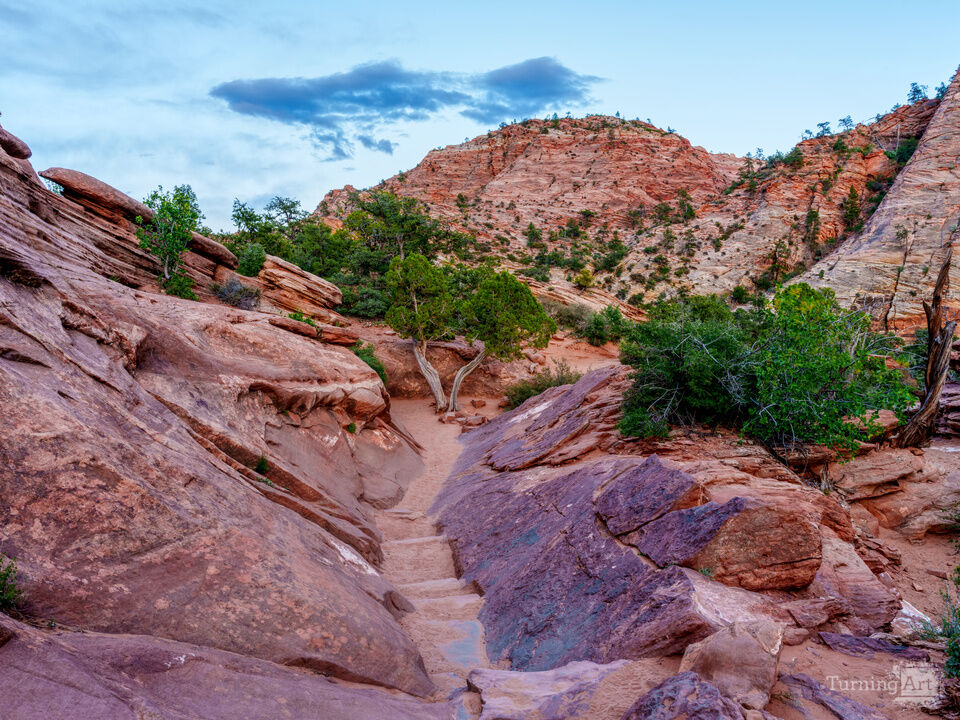 Zion Canyon Overlook Trail Blue Hour
