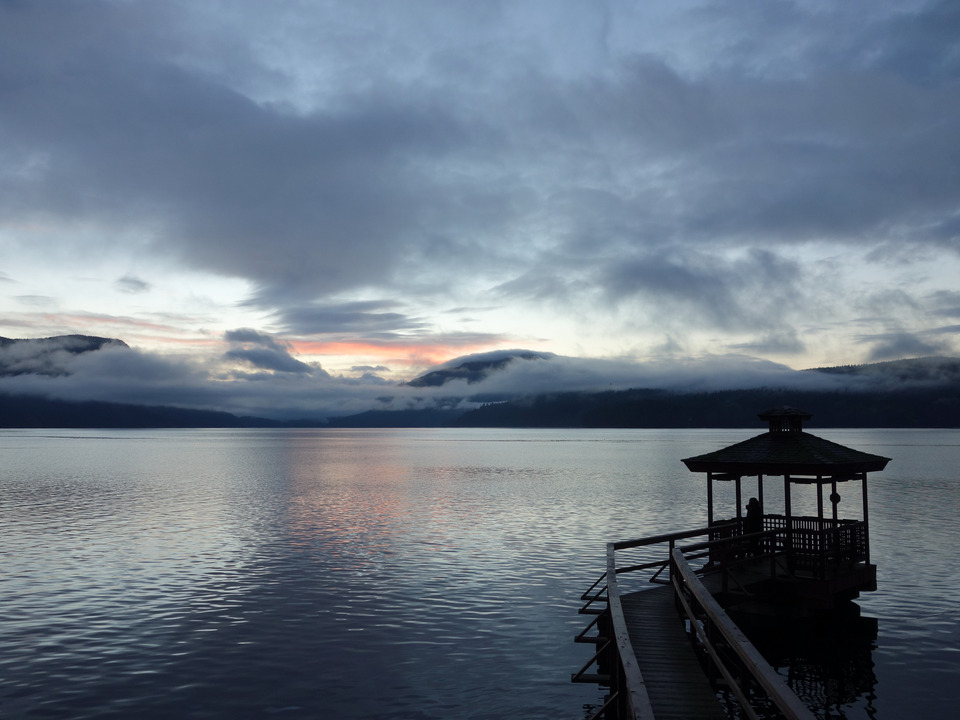 Maple Bay #1