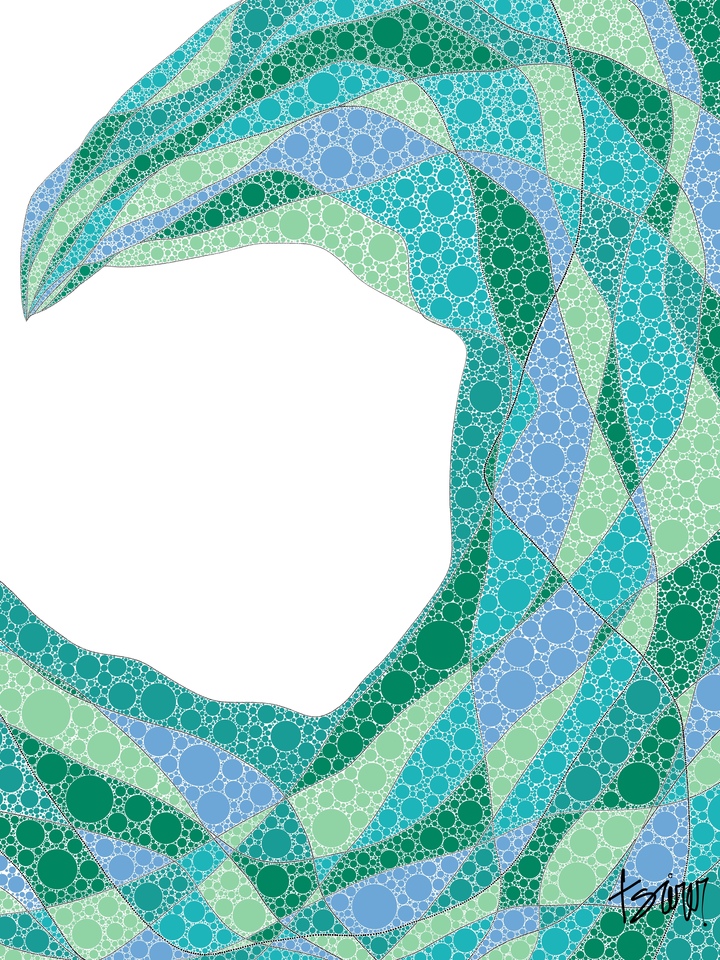 Motion of the Ocean