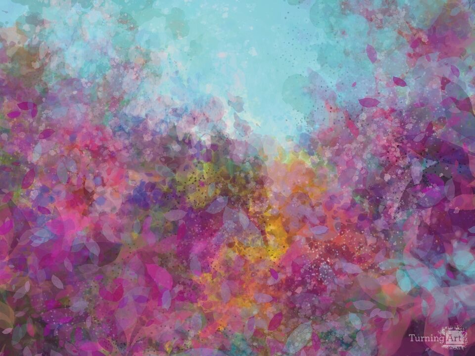 Petals Across the Horizon