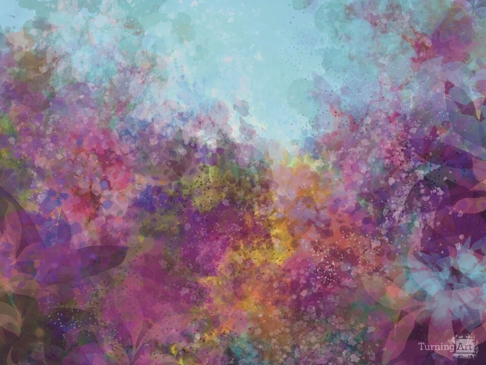 Petals Across the Horizon