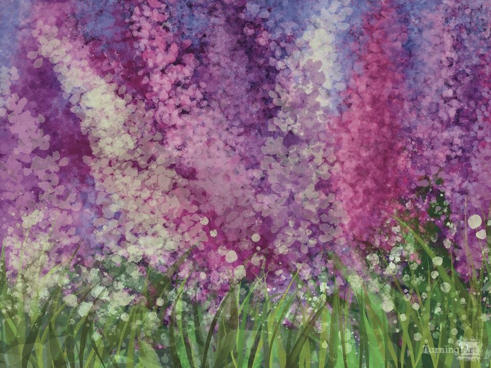 Where Delphiniums Dream